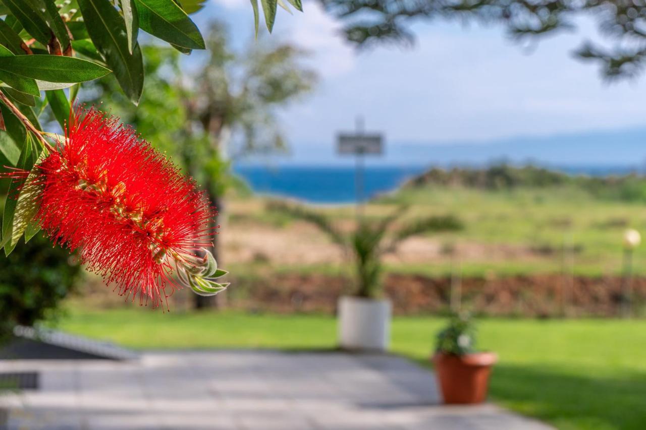 Arco Beach Hotel Platanias  Dış mekan fotoğraf